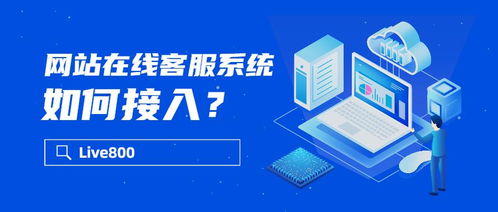 網(wǎng)站在線客服系統(tǒng)與信息系統(tǒng)運(yùn)行維護(hù)服務(wù)的無(wú)縫接入策略