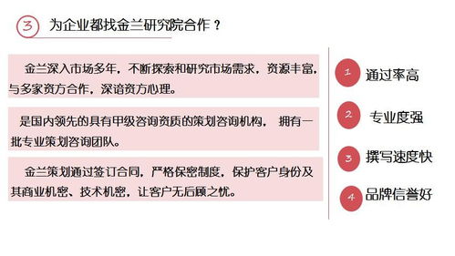 麗江市項目計劃書專業撰寫與策劃服務指南